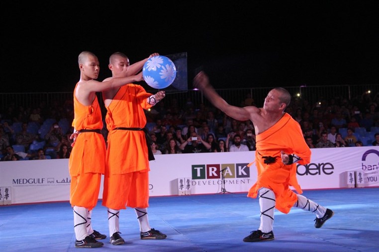 Martial Arts Festival